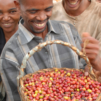 Coffee Farmer Choche Market