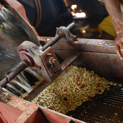 Removing the coffee pulp, Negele Gorbitu, Southern Ethiopia